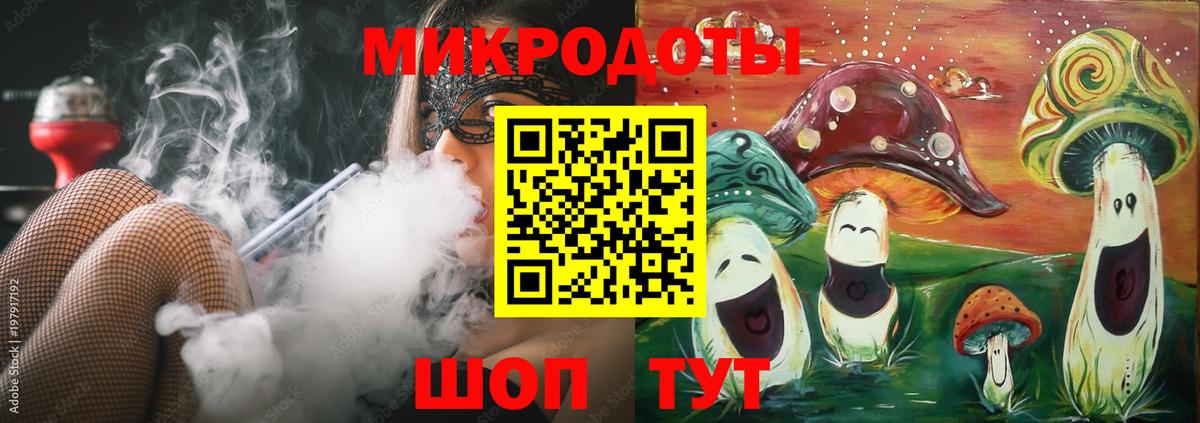 Галлюциногенные грибы Psilocybine cubensis Новозыбков